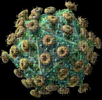 Virus tomado de weblogs.madrimasd.org/salud_publica/archive/2008/01/29.aspx