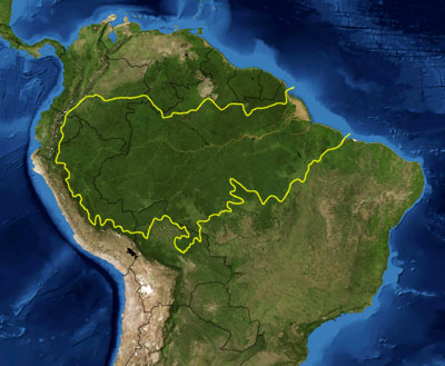 http://weblogs.madrimasd.org/images/weblogs_madrimasd_org/universo/255/o_Amazon_rainforest.jpg